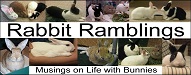 Rabbit Ramblings