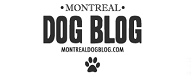 montreal dog blog