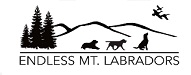 Endless mountain Labradors