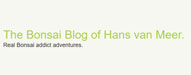 The Bonsai Blog of Hans van Meer