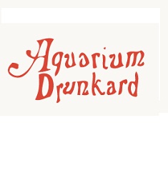 Music Blogs Award | Aquarium Junkyard