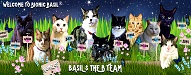 Top Cat Blogs 2020 | Bionic Basil