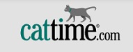 Top Cat Blogs 2020 | Cattime