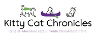 Top Cat Blogs 2020 | Kitty Cat Chronicles